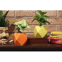 Leafy Tales Set of 2 - Polygon Shape Ceramic Pot, Pot only, | Multicolor, Polygon - 2 (Polygon - 2)