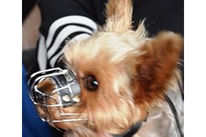 L&J Pets Uk Museruola per cani in metallo resistente, per rattler, Yorkshire Terrier e altri cani di piccola taglia