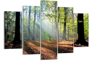 ARTTOR Lienzos decorativos 150x100cm Cuadro Sobre Lienzo Moderno Bosque Hoja Sol Grande XXL Dormitorio Cuadros Pared Imágenes Tríptico 5 Piezas Cuadros Decoracion Salon Wall Art Prints Decor EA150x100-0136