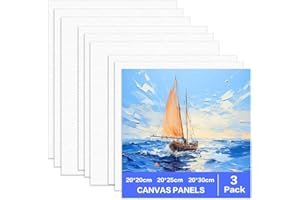 LIUHANCSQD 9 Piezas Lienzos para Pintar Preestirados 100% Algodón, Lienzos Enmarcados, Canvas para Pintar, Lienzo Blanco para Pintura Acrílica, al Óleo, Bocetos, Dibujos, 20x20 cm 20x25 cm 20x30 cm