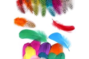 QIMMU 200 PiècesPlumes Loisirs Creatifs Plumes Colorées,Plumes Multicolores,Plume Decoration, pour Artisanat De Mariage Accueil Party Decorations