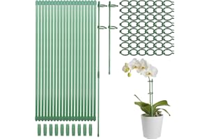 Scettar 20 Stück Pflanzenstütze, 30cm Pflanzenhalter für Orchideen, Zimmerpflanzen Stäbe Geeignet für Orchideen, Rose, Tomatenpflanzen, Blumenhalter mit 40 festen Schnallen und 10 Doppelpassrohre