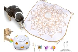 GoldenSun Jouet pour Chat, Interactif Rechargeable 4 en 1 pour Intérieur, Canne à pêche pour Chat, Jeu de Taupe