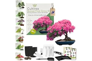 CULTIVEA Kit First Bonsai – Autocultivo de Bonsáis con Semillas y Herramientas – Fácil y Completo | Idea de Regalo (Cercis chinensisBunge)