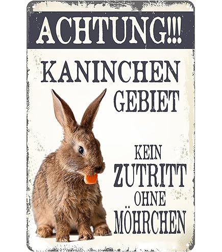 Schild Spruch Schiefer VORSICHT HUNDE Schiefertafel Türschild 22 X