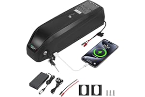 WR-TEAM R TEAM Ebike Battery 48v 15AH with Charger, USB Port, Lithium Electric Bike Battery for 1000W 750W 500W 250W Motor (Bafang, AW, most ebike conversion kit)