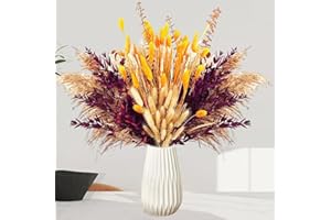 ‎APOMKJOE 101 Stück Pampasgras Trockenblumen Deko Natürliche Trockenblumenstrauß Flauschige Getrocknete Blumen Deko Für Badezimmer Tischdeko Heim Decor