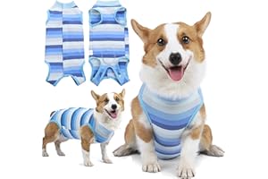 Hjyokuso Vestito Recupero per Cani, Body Post-Operatorio per Cani Tuta da Guarigione Protezione Ferite e Bendaggi Cuccioli Cono Colletto Alternativo Dopo l’Intervento Chirurgico - Blu