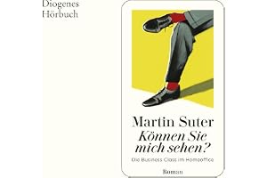 Können Sie mich sehen?: Die Business Class im Homeoffice
