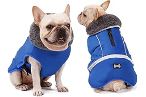 JRANTER Cappotti impermeabili antivento per cani, caldi vestiti per cani, giacche per attività all'aperto e al chiuso (blu, M)