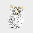 Owl Statue for Home Decor Accents,Owl Decor for Bookshelf Bedroom Living Room Office Table Desk Mantle TV Stand Boho Decoration,Modern Shelf Decor Accents Animal Sculptures for Birds Lovers,Owls Gift