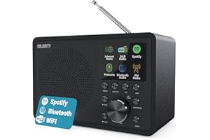 Radio Internet con Bluetooth | Dab+ FM Radio Internet WiFi | Radio WiFi con Altavoz DSP | Internet Radio con Spotify Connect y Podcasts | Multialarma, Control de la Aplicación Oktiv | MAJORITY Touro