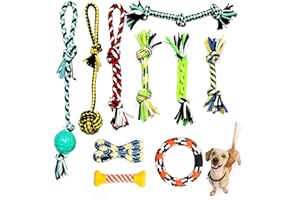 Aitmexcn 10 Pcs Dog Toys Indestructible for Small Medium Dogs, Interactive Puppy Teething Toys with Natural Cotton, Tough Dog Chew Rope Toy for Play and Training