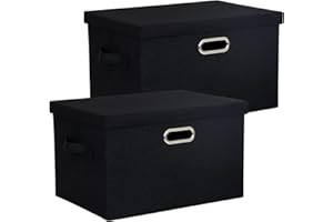 BinWhiz 2-Pack Storage Bins with Lid, 38x27x21 cm Fabric Cube Bins Organizer Basket Foldable Storage Box Containers with Handles for Closet Shelf Home Office Utility Room - Black