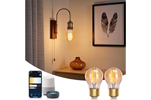 Aigostar Bombilla Inteligente Alexa, Bombilla Led E27 Vintage, G45 Ámbar Tipo Globo, 4.5W, 470LM, Regulable Cálida a Fría 2700K a 6500K, Compatible con Alexa y Google home, 2 Unidads
