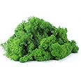 IHKFILAN Reindeer Moss 100G for Crafts & Decoration, Real Preserved Moss for Easter, Green, 3.5OZ