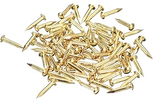 QUARKZMAN 250pz Chiodi Piccoli Piccoli 1.5mmx10mm(Dxl) Ottone Chiodi Hardware Chiodi Piccoli Chiodi Quadri per Scatole Decorative Fai da Te Legno Accessori Casa, Tonalità Ottone