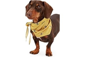 Rosewood Joules Gold Bee Print Neckerchief