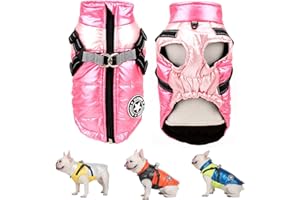 SMALLLEE_LUCKY_STORE Veste d'hiver imperméable avec Harnais et Anneau en D pour Chiens de Petite et Moyenne Taille, Manteau rembourré, Chihuahua Yorkshire Bouledogue français,Rose,M