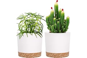 QCQHDU blumentopf 2er Pack 12,7 cm,Bumentöpfe für Zimmerpflanzen mit Entwässerungslöchern und abnehmbarem Boden,Untersetzer Modern Dekorativ für Outdoor Garten Pflanzgefäße(Weiß 12,7 cm)