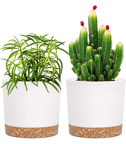 ZMTECH 25 cm Zelfwaterende Plantenpotten met Waterinlaat Plantenbakken met Drainagegaten en Schotel Plastic Bloempot voor Binnen Buiten Planten (Groen, Set van 2 ZMTECH 25 cm Zelfwaterende Plantenpotten met Waterinlaat Plantenbakken met Drainagegaten en Schotel Plastic Bloempot voor Binnen Buiten Planten (Groen, Set van 2