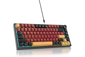 SbocKeeb Tastiera meccanica con guarnizione al 75%, tastiera RGB meccanica cablata personalizzata TKL al 75% sostituibile a caldo con cuscinetti fonoassorbenti, QWERTY americana programmabile
