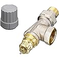 Danfoss 013G0143 Thermostatic Valve Ra-Fn 15, Grey, 1/2 Inch