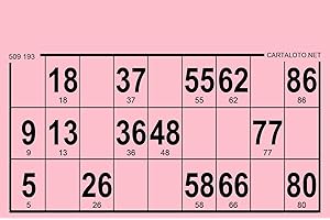 CARTALOTO-125 Cartons de Loto Feuilles 80gr, Format Standard, Couleur : Rose, GTPJ125-04, Multicouleur