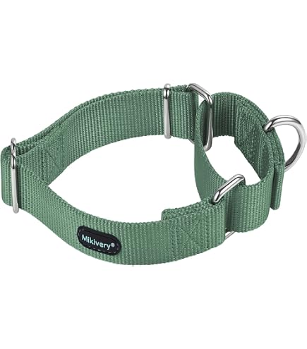 Martingale Halsband Für Hunde Größe M – Weiches Nylon, Rosa Gänseblümchen-Design, Rutschfest, Trainierend