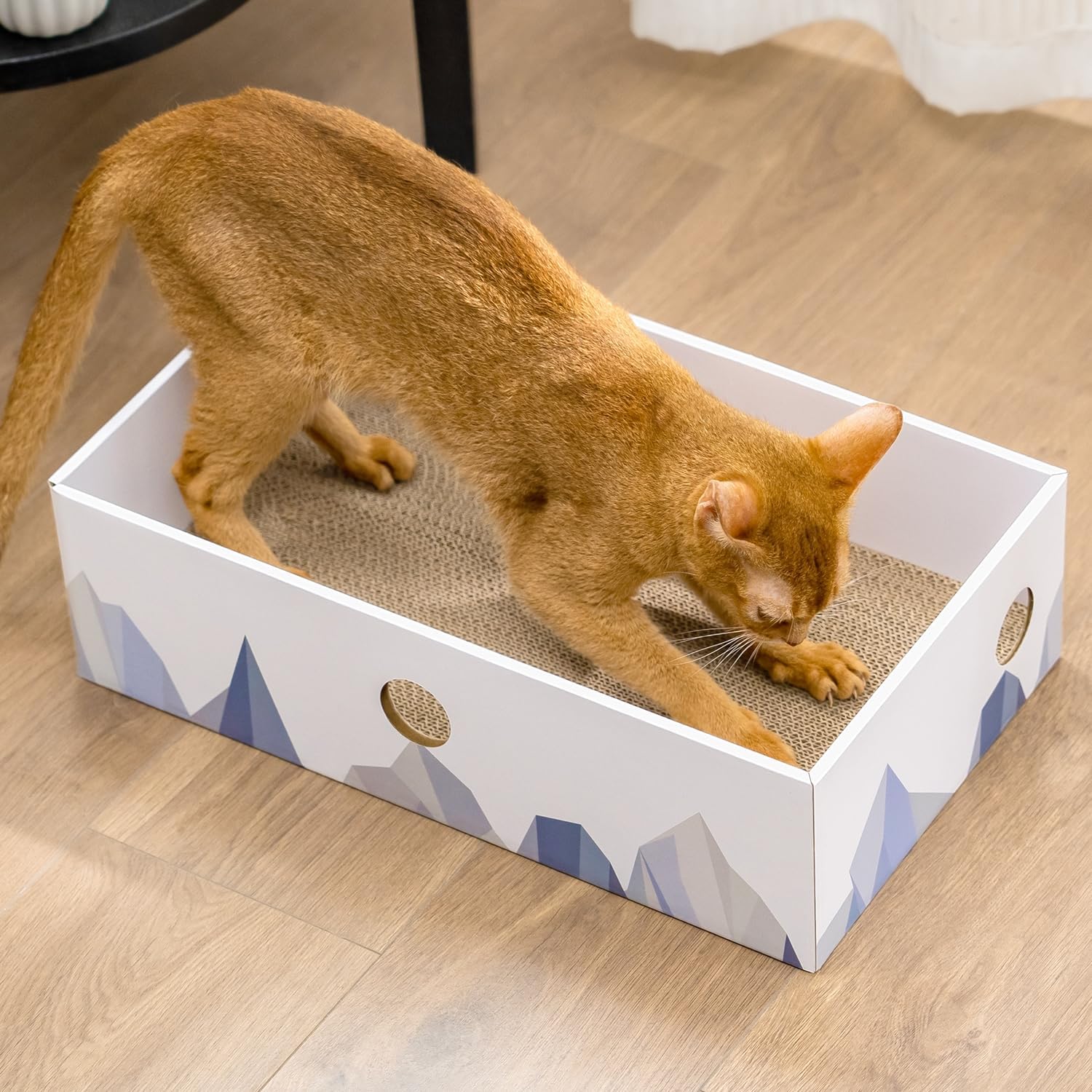 Conlun Rascador para Gatos con Caja, Rascador Gato Grande y Resistente, Doble Cara, Agujeros Interactivos, Zona de Descanso Antisuciedad para Interior (1 Unidad, Grande, Blanco)