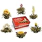 Creano Teeblumen Mix – „ErblühTee“ in edler Geschenkbox zum Probieren | Weißtee (6 verschiedene Sorten Teerosen…