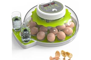 DETODDA Fully Automatic Incubator for Chickens with LED Lighting, Fully Automatic Incubator with Temperature and Humidity Control, with Automatic Egg Turner, Green, 18 Eggs