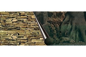 EUROPET BERNINA Ebi Fondo de Fotos