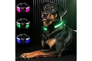 Bamda Light Up Dog Collar, Long-Lasting Power & LED Dog Collar Rechargeable, Waterproof & Safety Flashing Dog Collars for Dark, Adjustable Led Collars for Medium Dogs [Green-M]