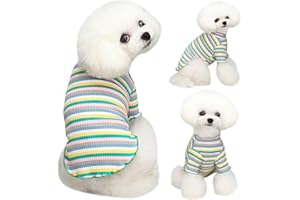 Yaopelky Vestiti per cani di taglia piccola e media e piccola, a righe arcobaleno, maglietta elasticizzata a maniche lunghe, per gatti, chihuahua, Yorkie Teddy (bordo verde, S)