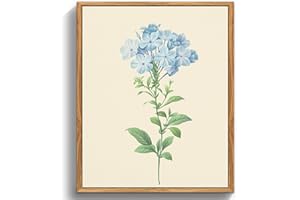 MHARTK66 Quadri Vintage Botanico Soggiorno con Cornice Legno, 30x40 cm Stampe da Parete Blu Plumbago Fiori Illustrazione, Quadro Camera da Letto Su Tela Decorazioni Parete Desktop Arte Bagno Ufficio
