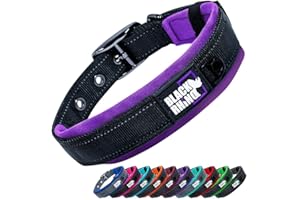 Black Rhino - The Comfort Collar - Collar de perro acolchado de neopreno ultra suave para todas las razas. Resistente, ajustable, reflectante y resistente a la intemperie (S, morado y negro)