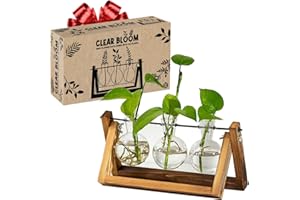 ORIGINAL CUP Clear Bloom® | 3 Vases Ampoule pour Plantes Immergées | Support en Bois Naturel | Flacon Pissette Inclus | Hydroponie | Déco Intérieur Zen Cadeau | Fleur ou Plante Hydroponique | OriginalCorner®