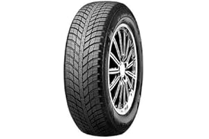 Gomme Nexen N blue 4season 195 65 R15 91H TL 4 stagioni per Auto