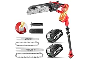 Avhrit 2-in-1 Cordless Pole Saw & Mini Chainsaw - 10FT/3M Long Reach with 8 Inch & 6 Inch Chainsaw, 2×4.0Ah Batteries, Stable Extension Pole and Brushless Motor for Tree Branch Trimming & Cutting