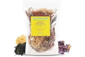 BUIE HOLISTIC HERBS Multi Color Full Spectrum Irish Sea Moss | Dr. Sebi Inspired | Gold – Green – Purple Sea Moss | Make 120+ oz Sea Moss Gel | Sun-Dried Sea Moss from Coast of St. Lucia | 8 Oz