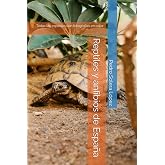 Reptiles y anfibios de Espa&ntilde;a: Todas las especies con fotograf&iacute;as en color