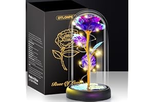 ‎OTLONPE Otlonpe Blumen Geschenke für Frauen, Ewige Glas Rose Geschenke für Weihnachts Valentinstag Muttertagsgeschenk, Rosen Geburtstagsgeschenk für Frauen Sie Mama Freundin Oma Frau Beste Freund, Lila
