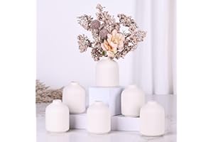 QIANLING Lot de 6 Petit Vase Blancs, Vases Boho Modernes pour Fleurs sèches, Blancs Vase decoratif, Vases Blancs pour centres de Table en Gros, Mini vases pour déco de Table de Mariage