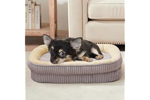 DEBANG HOME Lit orthopédique pour chiots et petits chiens, canapé pour chien en mousse haute densité, lit pour animaux avec coussin sur les quatre côtés, housse amovible et lavable et fond antidérapant
