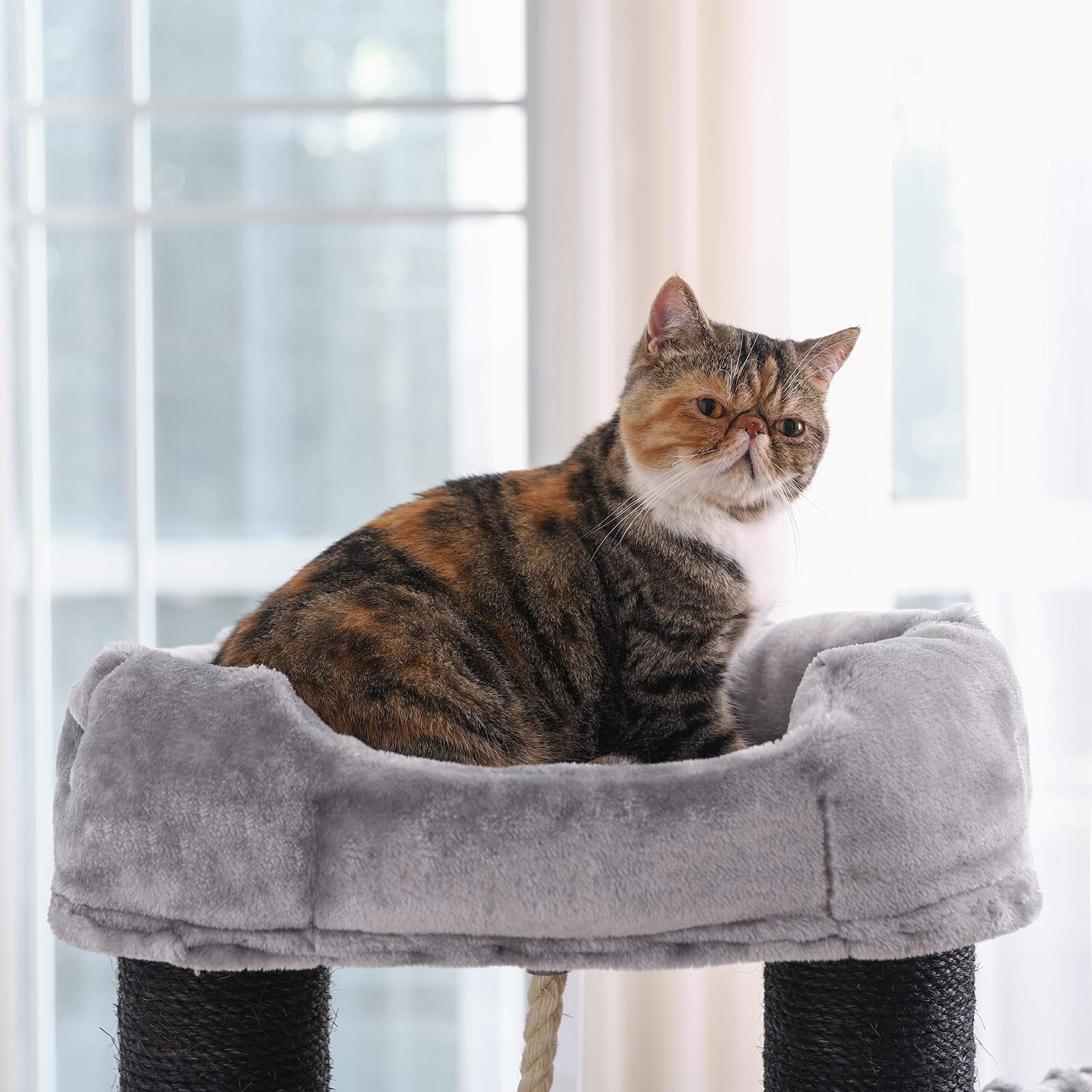 plush cat tree