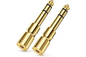 deleyCON Adapter Jack 3,5 mm na 6,35 mm [2 Szt.] - Wtyk aux Stereo Audio - Pozłacane Styki - do Słuchawek, Głośników, Gitary, Wzmacniacza Hi-Fi, Keyboardu, Miksera itp.