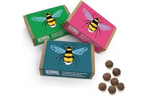 SEEDBALL Bee Mix Wildflower Seed Bombs (Pack of 3, 6 Balls per Box) | Eco Friendly British Wild Flower Seed Mix for Bees, Birds & Garden Wildlife - Gardening Gift for Women & Wildlife Supporters