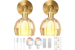 SERBASIC Vintage Battery Operated Wall Lights Set of 2,Rechargeable Wall Light Indoor with Detachable Bulbs and Remote,3 Color Temperature&12RGB Wireless Wall Sconces for Living Room Bedroom Hallway
