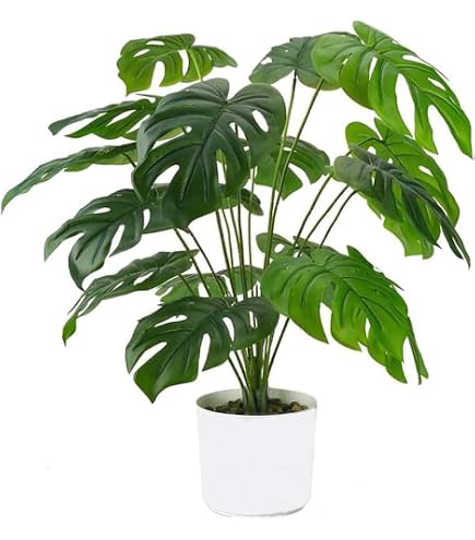 Pianta artificiale di calathea, alta 120 cm, vaso di cemento, 53 foglie - uso interno | Leroy Merlin
